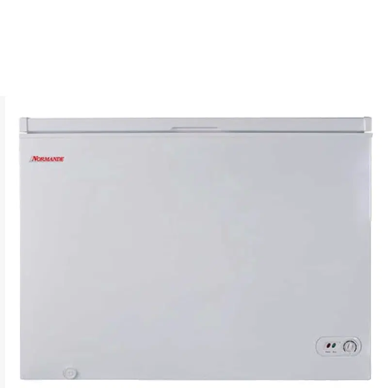 מקפיא שוכב נורמנדה BD-300