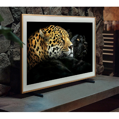 טלוויזיה 65  אינץ' סמסונג QE65LS03B