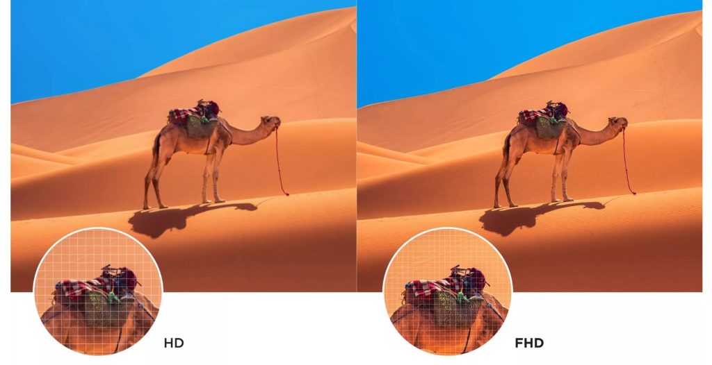 טלוויזיה 43  אינץ’ טי.סי.אל 43L5AG